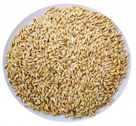 Árpa 1kg