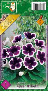 Virághagyma Gloxinia Kaiser Wilhelm
