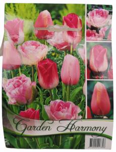Tulipán kollekció 3x6 db /rózsaszín