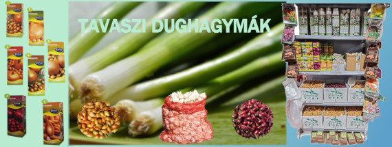 Tavaszi dughagymák